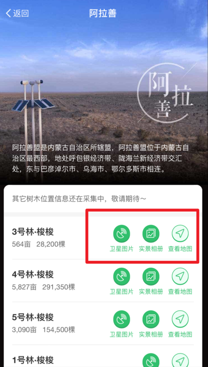 螞蟻森林種的樹實際在哪里 支付寶螞蟻森林種樹實景圖如何看