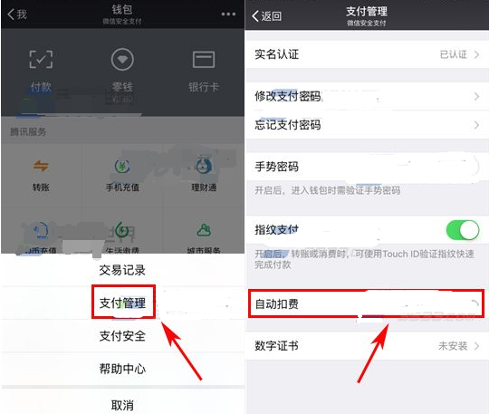 微信生活服務(wù)自動(dòng)扣費(fèi)在哪里設(shè)置 微信設(shè)置自動(dòng)扣費(fèi)教程