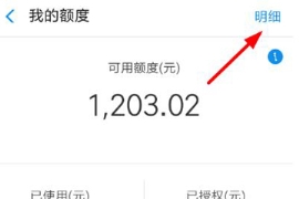支付寶花唄怎么查看賬單明細(xì) 支付寶查看賬單明細(xì)攻略