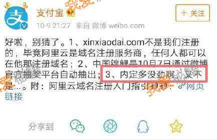 支付寶中國錦鯉內定是真的嗎？信小呆的域名是阿里注冊的嗎？