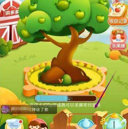 拼多多果樹有幾個(gè)階段？成長(zhǎng)階段詳解