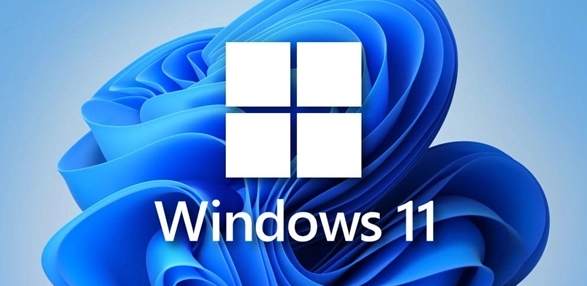 Windows11重設(shè)注冊表刷新項步驟介紹