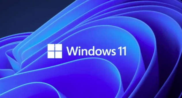 Windows11設(shè)置文件高級共享權(quán)限技巧分享