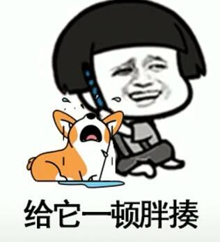 抖音我在那小區(qū)遛狗是什么歌？