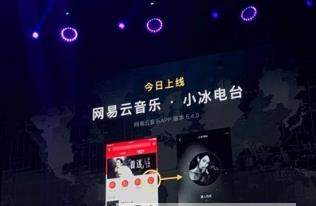 網(wǎng)易云音樂(lè)小冰電臺(tái)怎么樣_小冰電臺(tái)如何使用