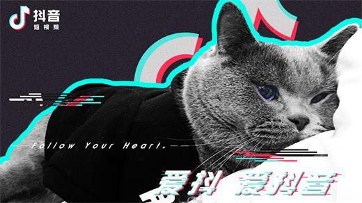 抖音木小雅幻夢在哪里聽？木小雅幻夢歌曲分享