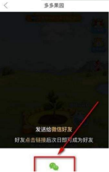 多多果園要怎么添加好友？多多果園添加微信好友教程分享