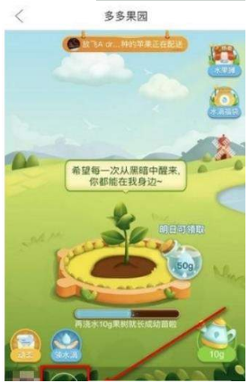 多多果園要怎么添加好友？多多果園添加微信好友教程分享