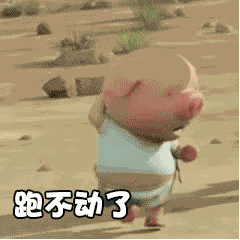 抖音小豬跑步跑步動態(tài)表情包分享【高清無水印】