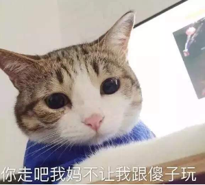 抖音你走吧我媽不讓我跟傻子玩 貓咪搞怪高清表情包分享