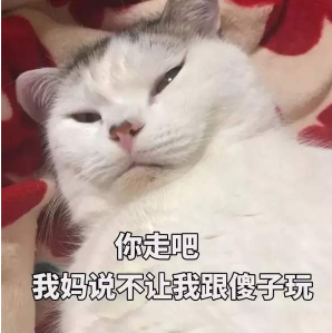 抖音你走吧我媽不讓我跟傻子玩 貓咪搞怪高清表情包分享
