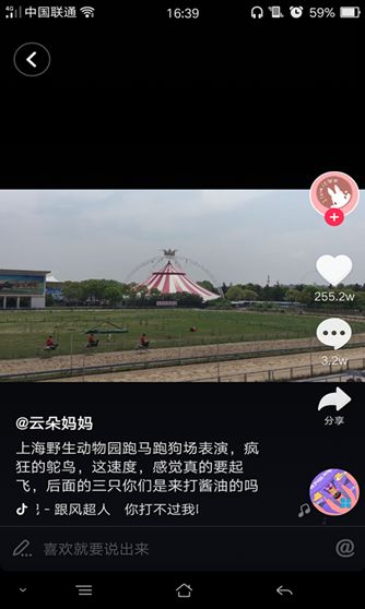 抖音騎鴕鳥賽跑背景音樂是什么？抖音哈哈哈哈你打不過我吧歌曲介紹