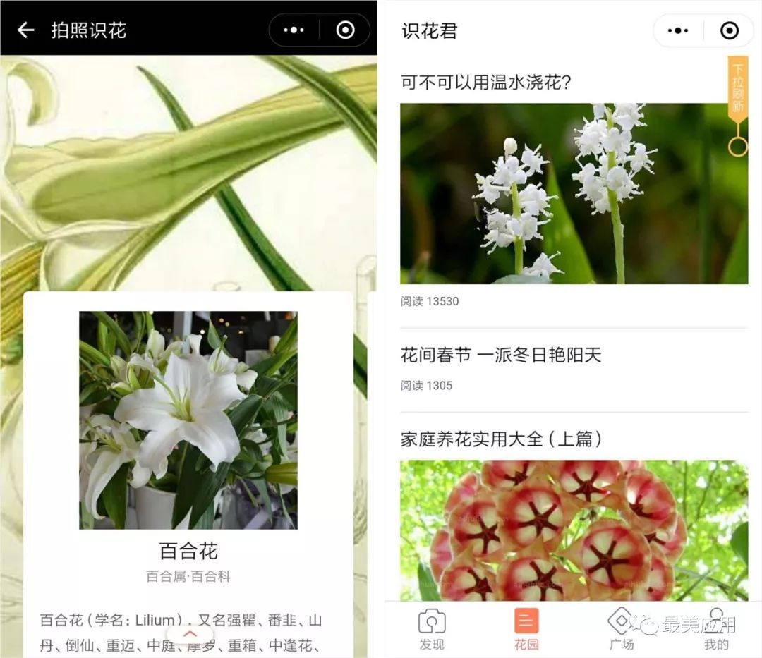 微信有什么實用的小程序？使用程序推薦