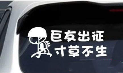抖音春風(fēng)吹楊柳下一句是什么？抖友暗號春風(fēng)吹楊柳完整版介紹