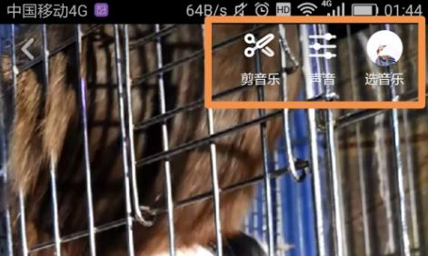 抖音發(fā)布作品詳細教程