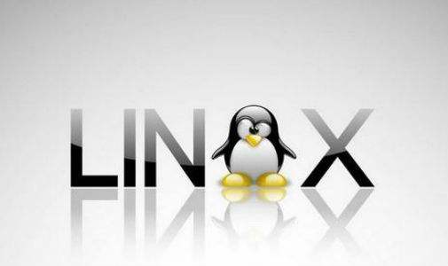 Linux是什么？它是哪個國家開發(fā)的