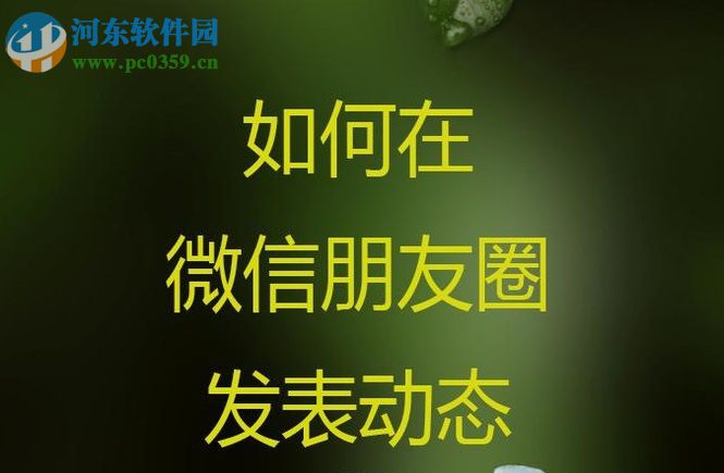 微信朋友圈發(fā)布動態(tài)的操作方法