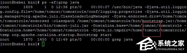 Linux系統(tǒng)如何查看和結(jié)束進(jìn)程？
