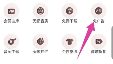 網(wǎng)易云音樂vip和黑膠vip區(qū)別是什么詳細(xì)介紹