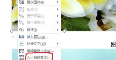 word圖片統(tǒng)一調(diào)整大小方法