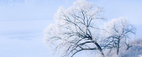下雪發(fā)朋友圈短句 下雪發(fā)朋友圈短句有哪些