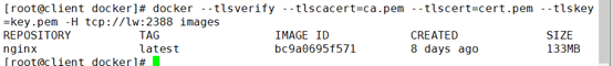 關(guān)于docker安全之Docker-TLS加密通訊問題