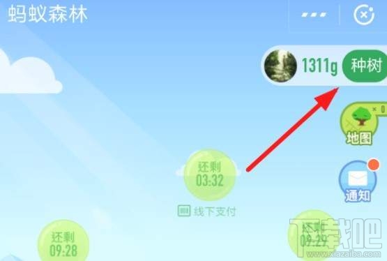 支付寶螞蟻森林保護(hù)地怎么認(rèn)領(lǐng)