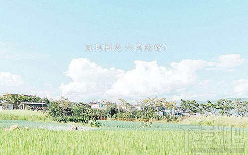 六月你好朋友圈說(shuō)說(shuō)與圖片大全