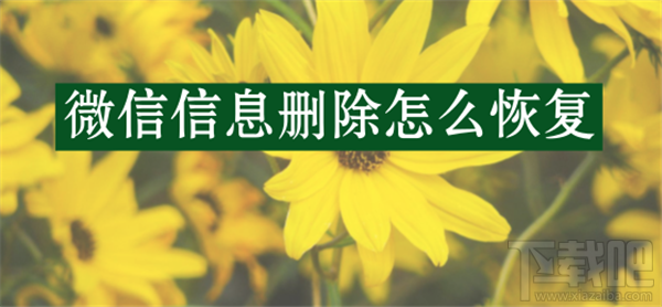 蘋(píng)果手機(jī)微信信息刪除怎么恢復(fù)?