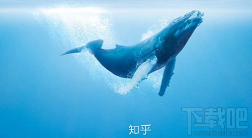 知乎知卡怎么申請？知乎知卡申請辦理地址