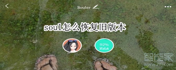 soul怎么恢復(fù)舊版本
