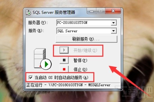 SQL Server打開服務(wù)管理器的方法