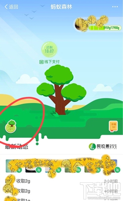 螞蟻森林模擬地圖從哪進(jìn)？