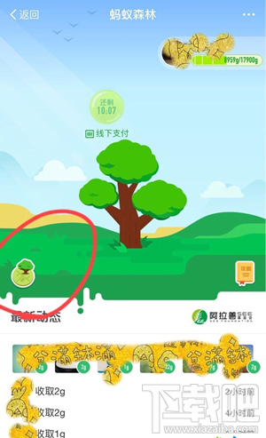 支付寶螞蟻森林地圖怎么進入？螞蟻森林模擬地圖入口在哪