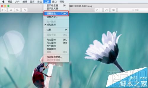 mac系統中怎么用自帶的預覽工具將圖片變成黑白色?