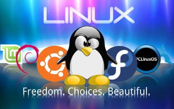 為什么高手離不開Linux系統？
