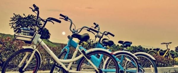 共享單車(chē)忘記鎖了應(yīng)該怎么辦?