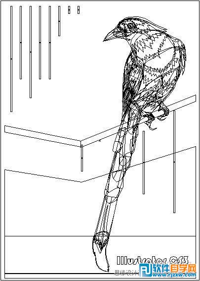IllustratorCS6用色階畫法精細設(shè)計鳥類插畫