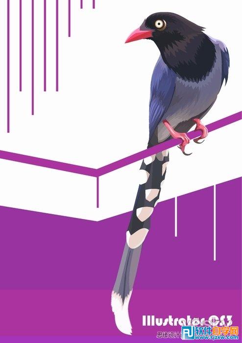IllustratorCS6用色階畫法精細設(shè)計鳥類插畫