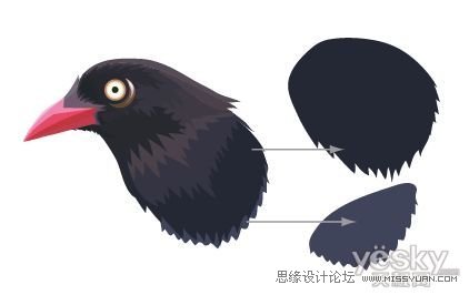 IllustratorCS6用色階畫法精細設(shè)計鳥類插畫
