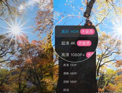 嗶哩嗶哩大會(huì)員有什么用